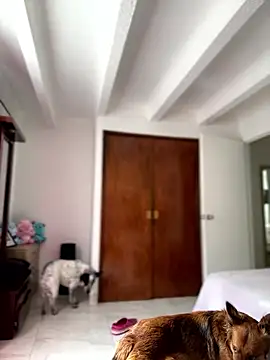 Salome golvert online show from January 9, 3:48 pm