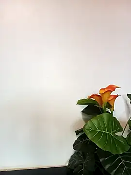 Snapshot of JemaimaPrincess chatting on March 21, 11:22 am JemaimaPrincess online show from March 21, 11:22 am