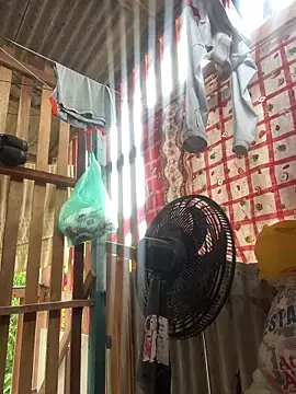 novinhooxz online show from May 11, 1:39 pm