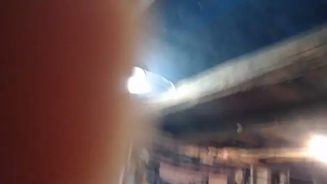 Newfiesausage1972 online show from February 21, 9:27 pm