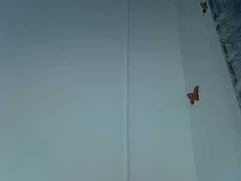 laetitia  online show from September 29, 10:47 pm