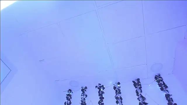 Snapshot of SophieHill_gh chatting on January 16, 1:27 am SophieHill gh online show from January 16, 1:27 am