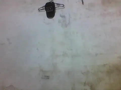 Snapshot of Leopardogonza chatting on October 20, 11:38 pm Leopardogonza online show from October 20, 11:38 pm