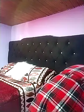 Camille rose  online show from November 7, 3:34 pm