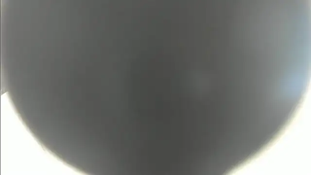 Snapshot of linasantoss chatting on January 26, 5:13 pm linasantoss online show from January 26, 5:13 pm