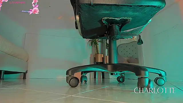 charlotte  grey online show from November 28, 8:22 pm