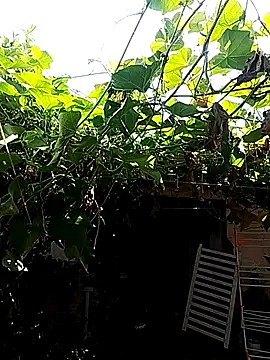 Putaepirocudo online show from April 14, 12:55 pm