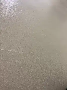 Louis Baby online show from January 26, 4:41 pm