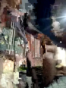 Snapshot of Gutierrez6383 chatting on April 21, 4:52 am Gutierrez6383 online show from April 21, 4:52 am