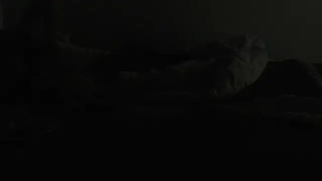 flexingplexico online show from January 6, 7:13 pm