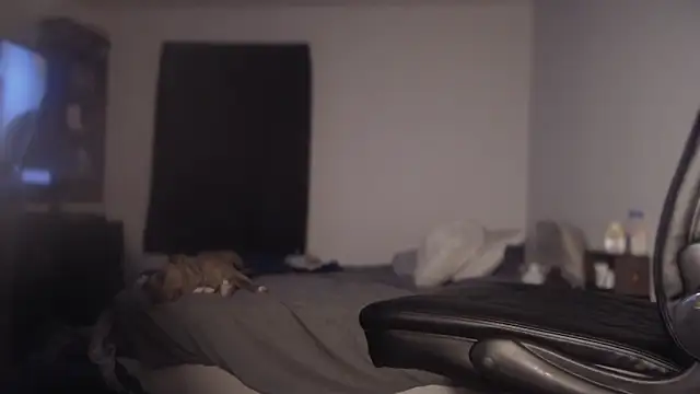 flexingplexico online show from March 1, 11:17 am