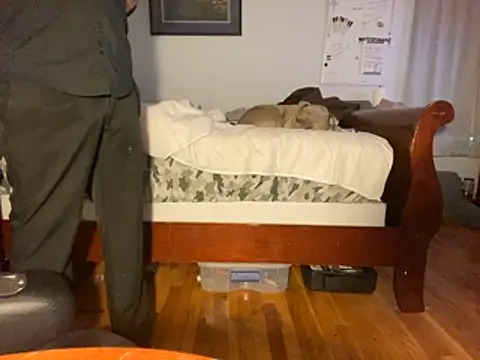 flexingplexico online show from January 14, 1:06 pm