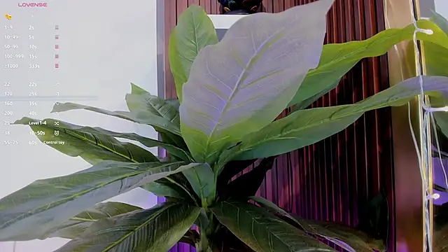 Snapshot of Anybuny chatting on January 20, 11:35 am Anybuny online show from January 20, 11:35 am