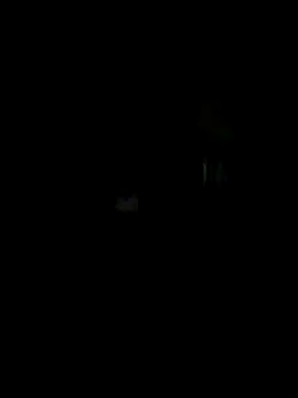 Off the Lesh online show from October 15, 7:19 am