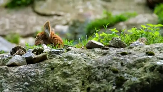 Snapshot of streamy_test13 chatting on December 2, 11:26 am streamy test13 online show from December 2, 11:26 am