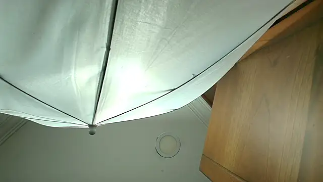 stella xue online show from March 19, 8:22 pm