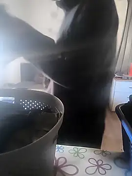 Naked Ben online show from April 7, 2:50 pm