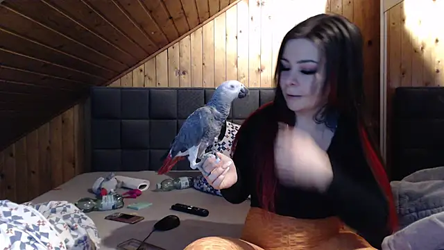 Snapshot of BoeseMoni1998 chatting on February 22, 5:55 am BoeseMoni1998 online show from February 22, 5:55 am