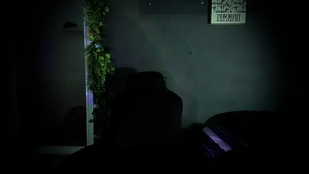 Snapshot of newjeff chatting on November 18, 11:25 am newjeff online show from November 18, 11:25 am