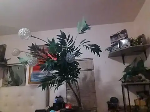 mrwinsalot88 online show from December 19, 7:26 am