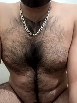 Samarth 0081 online show from December 17, 12:22 pm