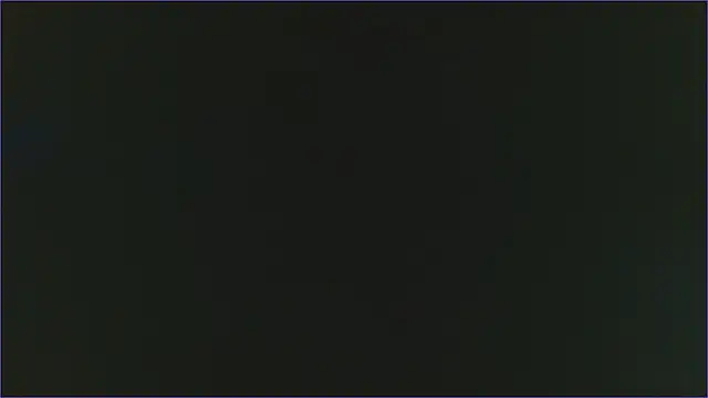 Geisha Seniers online show from February 13, 3:03 pm