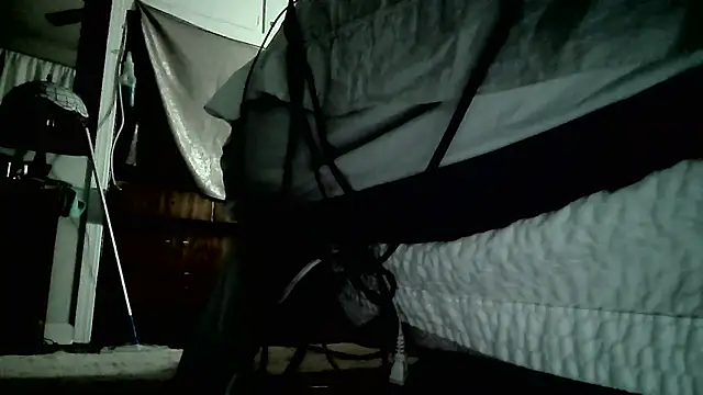 paiday online show from December 26, 4:04 pm