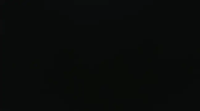 Snapshot of SonSett chatting on January 24, 1:35 am SonSett online show from January 24, 1:35 am