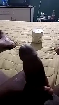 netswera147 online show from March 23, 11:14 am