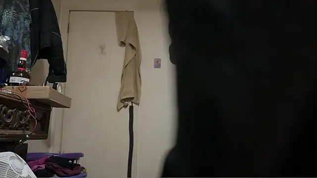 pipeload1275 online show from March 5, 3:24 am