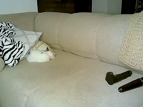 Snapshot of ebony_spicy69 chatting on October 3, 12:13 pm ebony spicy69 online show from October 3, 12:13 pm