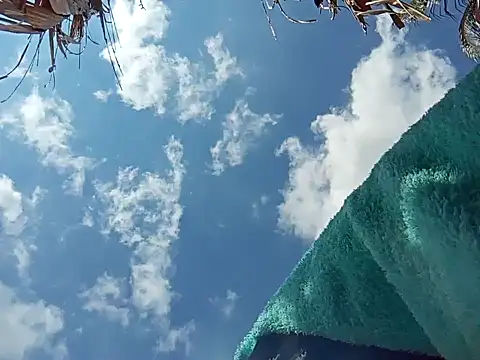 natally ross21 online show from December 8, 3:45 pm