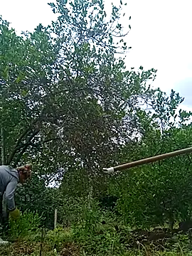 natally ross21 online show from February 21, 12:50 pm