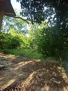 natally ross21 online show from February 5, 12:43 pm