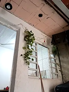 Snapshot of Brasilsexxx chatting on December 18, 2:45 pm Brasilsexxx online show from December 18, 2:45 pm