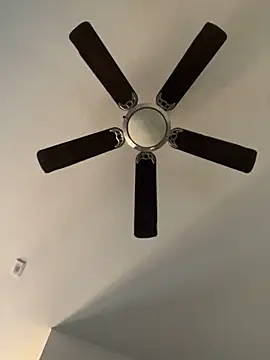 Snapshot of goldbuni chatting on December 19, 11:03 pm goldbuni online show from December 19, 11:03 pm