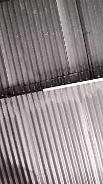 Snapshot of mendelicius chatting on February 11, 1:27 pm mendelicius online show from February 11, 1:27 pm