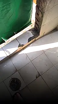 Snapshot of mendelicius chatting on February 15, 2:25 pm mendelicius online show from February 15, 2:25 pm