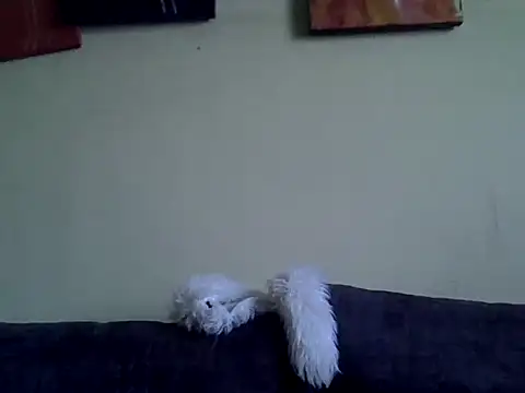 Delicious-D online show from February 10, 4:49 am