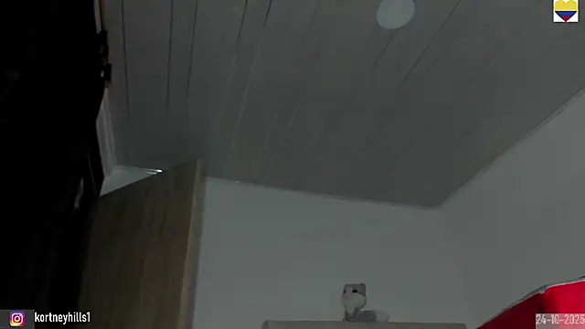 sexykortney online show from October 25, 3:47 am