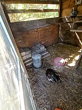 Snapshot of Mistress_Melissa chatting on February 3, 4:41 pm Mistress Melissa online show from February 3, 4:41 pm