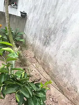 king cum  online show from February 18, 2:24 pm