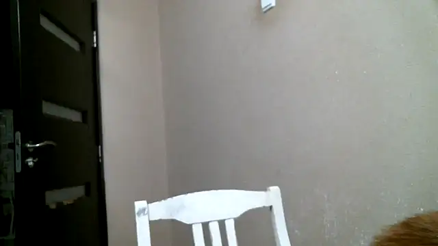 DennisXCaroll online show from February 18, 12:04 am