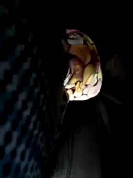 Snapshot of Policeman20742 chatting on March 17, 5:16 pm Policeman20742 online show from March 17, 5:16 pm