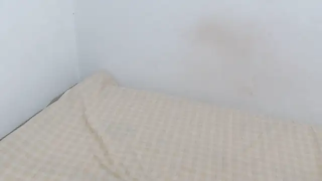 Snapshot of Adara_cooper22 chatting on October 30, 9:59 pm Adara cooper22 online show from October 30, 9:59 pm