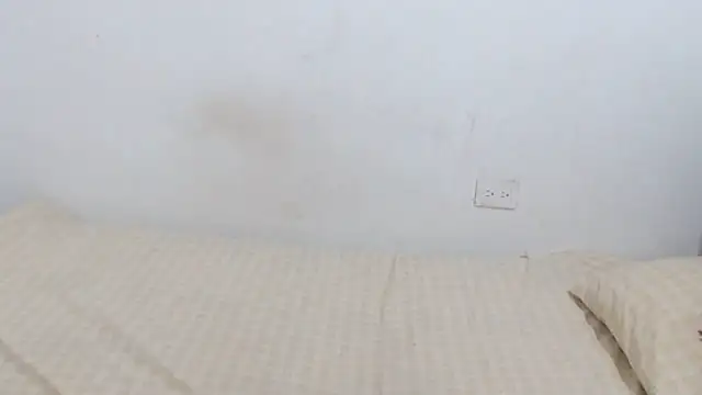 Snapshot of Adara_cooper22 chatting on November 2, 1:57 pm Adara cooper22 online show from November 2, 1:57 pm