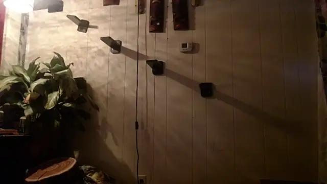 UnCuTupTheBuTT online show from November 16, 9:26 am