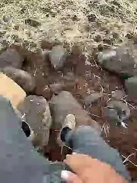 Snapshot of murokkk31 chatting on December 11, 12:23 pm murokkk31 online show from December 11, 12:23 pm