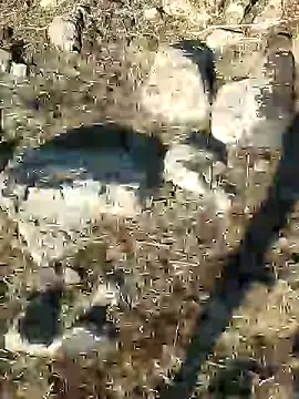 Snapshot of murokkk31 chatting on December 21, 8:39 am murokkk31 online show from December 21, 8:39 am