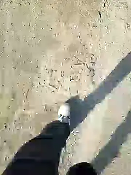 Snapshot of murokkk31 chatting on December 31, 11:20 am murokkk31 online show from December 31, 11:20 am